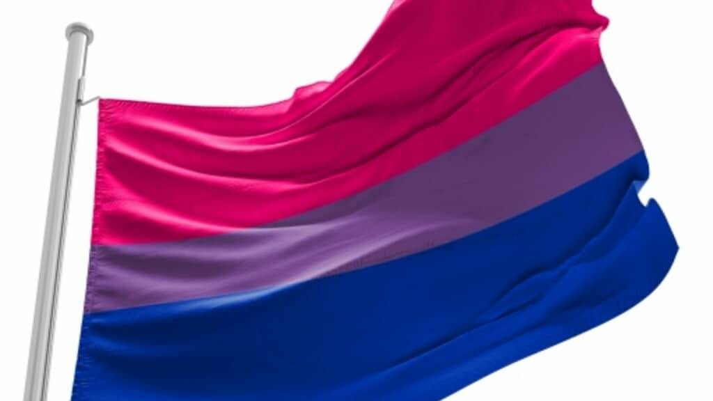 Saiba mais sobre a comunidade e significado por trás da bandeira bissexual